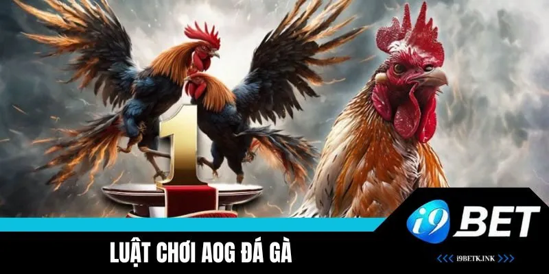 Hướng dẫn quy tắc chơi