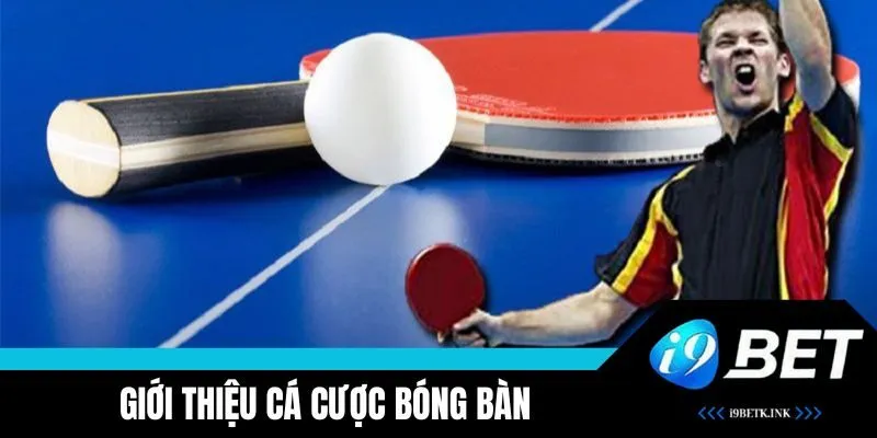 Đôi nét về cá cược bóng bàn tại i9BET