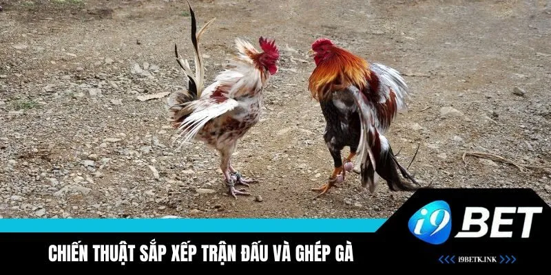 Tìm hiểu chiến thuật sắp xếp các trận đấu