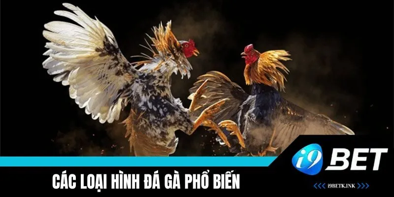 Các loại hình độc đáo