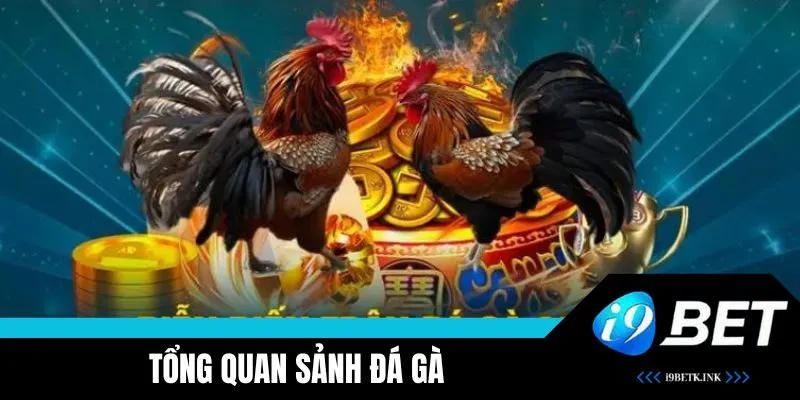 Tổng quan sảnh Đá Gà