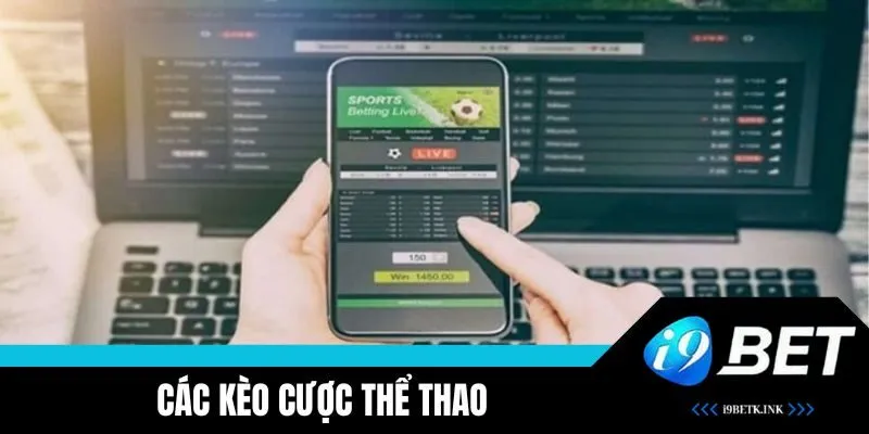 Đa dạng kèo cược thể thao